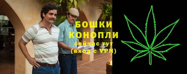 бутират Инта